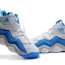 Adidas Equipment Top Ten 2010 (white/blue)