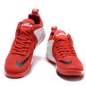 NIKE LEBRON ZOOM WITNESS Red/White