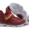 Nike LeBron 14 Red/Gold