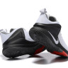 NIKE LEBRON ZOOM WITNESS White/Black