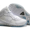 Lebron 8 VIII All White
