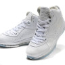 Lebron 8 VIII All White