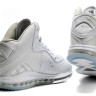 Lebron 8 VIII All White