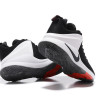 NIKE LEBRON ZOOM WITNESS Black/White