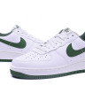 Air Force 2010 (white/green)