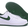 Air Force 2010 (white/green)