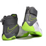 Nike LeBron Soldier 10 Dank King