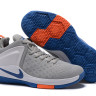 NIKE LEBRON ZOOM WITNESS Grey