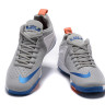 NIKE LEBRON ZOOM WITNESS Grey