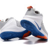 NIKE LEBRON ZOOM WITNESS Grey