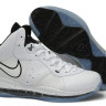 Lebron 8 VIII White Black Light Blue