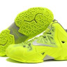 LeBron 11 volt