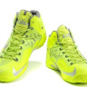 LeBron 11 volt