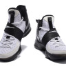 Nike LeBron 14 White/Black