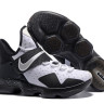 Nike LeBron 14 White/Black