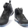 Lebron 9 IX gray