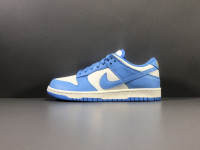 NIKE DUNK LOW Coast DD1503 100 