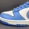 NIKE DUNK LOW Coast DD1503 100 