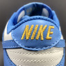 NIKE DUNK LOW Coast DD1503 100 