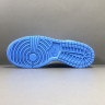 NIKE DUNK LOW Coast DD1503 100 