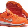 LeBron James 9 (IX) low (orange)