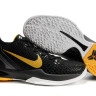 Nike Zoom Kobe VI (Black Mamba)