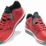 LeBron James 9 (IX) low (Liverpool)
