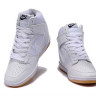 Nike dunk sky high white