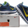 LeBron James 9 (IX) low (blue/yellow)