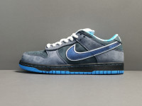 Concepts x NK SB Dunk Low 313170-342