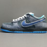 Concepts x NK SB Dunk Low 313170-342