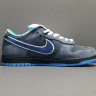 Concepts x NK SB Dunk Low 313170-342