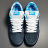 Concepts x NK SB Dunk Low 313170-342