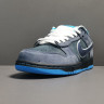 Concepts x NK SB Dunk Low 313170-342