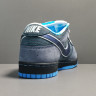 Concepts x NK SB Dunk Low 313170-342