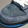 Concepts x NK SB Dunk Low 313170-342