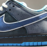 Concepts x NK SB Dunk Low 313170-342