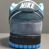 Concepts x NK SB Dunk Low 313170-342