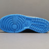 Concepts x NK SB Dunk Low 313170-342