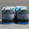 Concepts x NK SB Dunk Low 313170-342