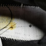 OG CIVLIST X NIKE SB DUNK LOW CZ5123-001