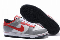 Nike Dunk sb Low white/red/black