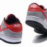 Nike Dunk sb Low white/red/black
