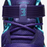 Lebron soldier 9 Summit Lake Hornets