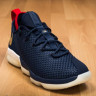 Nike Lebron XIV Low Original