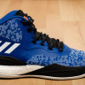 Adidas D Rose 8 Blue