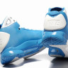 Nike Hyperdunk 2009 (white/blue)