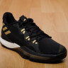 Adidas Crazy Light Boost 2018 Black Gold Original 