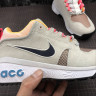 Nike ACG Dog Mountain AQ0916-100 Gray Silk \ White \ Black