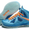 LeBron James X (10) (NYC)